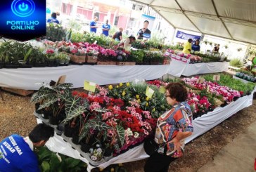 COMEÇA HOJE!!! Feira de flores de Holambra Desabrocha em julho   de  10 a 15 de Julho – Praça Santa Luzia – entrada Franca