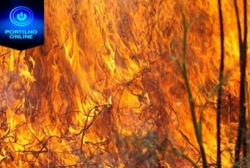 O município em ação…Alto número de queimadas em lotes vagos já gerou mais de 180 notificações em Patrocínio