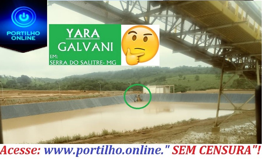 MAIS UMA DA GALVANI/YARA. Agora foi um tamanduá bandeira que caiu nas represas sem proteção!!!