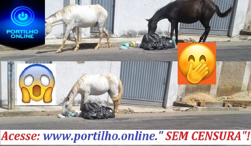 Portilho você já viu cavalo comer lixossssss?Pois aqui ele comem…