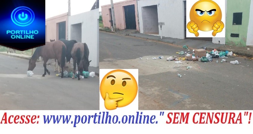 Olá Portilho São 6 cavalos e um filhote.