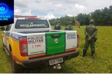 Operação ‘Paz no Campo’ resulta em cinco prisões e apreensões de armas de fogo no Triângulo Mineiro