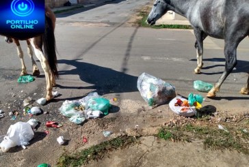 👉🙄🤔😠🐴🐎🐎SBoom Dia portilho  Venho através deste fazer uma reclamação mais uma vez sobre o bairro Eneas.