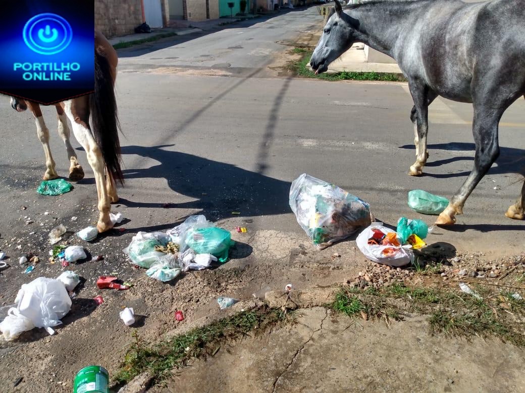 👉🙄🤔😠🐴🐎🐎SBoom Dia portilho  Venho através deste fazer uma reclamação mais uma vez sobre o bairro Eneas.