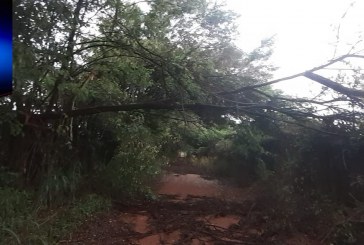 👉😱😠😡👎💨🌪🌨O VENDAVAL FOI DIA, 03/02/2020 E ATÉ HOJE NÃO LIMPARAM A ESTRADA???