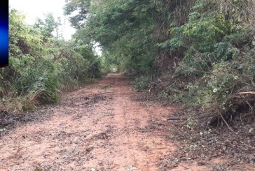 👉✍🤙👍👏👏🚜Após mais de 15 dias, arvores que caiu com o vendaval foram retiradas das estradas rurais.