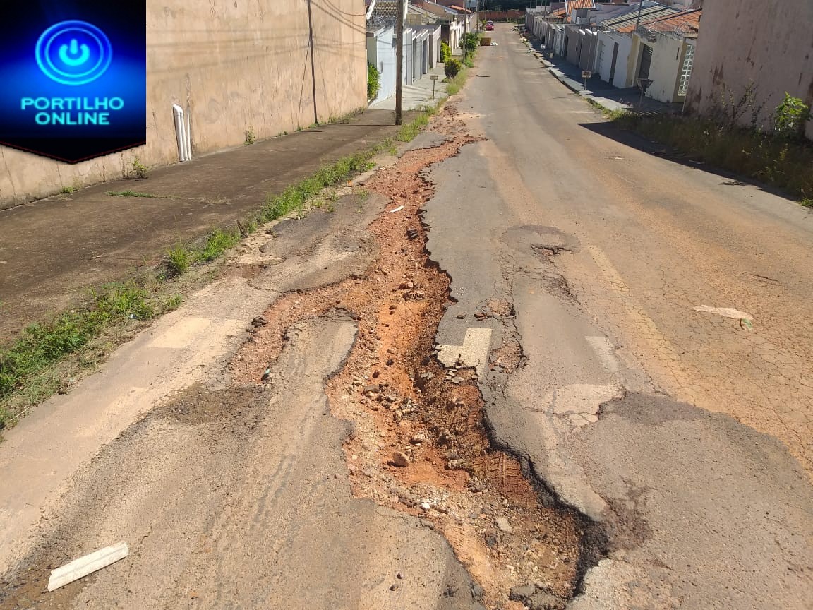 👉😡🕳😱🤔👎Aí está Portilho, buraco é mato na Alameda das Araucárias com Alameda das Caviúnas.