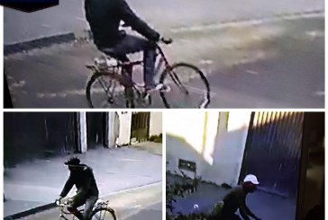 👉🙄🤔🚨🚔😡⚖ Você conhece esse ai da “bicicleta”? Segundo denuncias esse é o larápio que esta roubando residências.