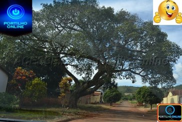 👉🤔🙄Comunidade de Catiara vai decidir a politica em Serra do Salitre.