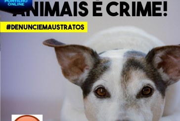 👉🐈🐕🐩😠😈🐶😔Estou pedindo pra vc publicar que tem gente sem noção matando cachorros envenenando…