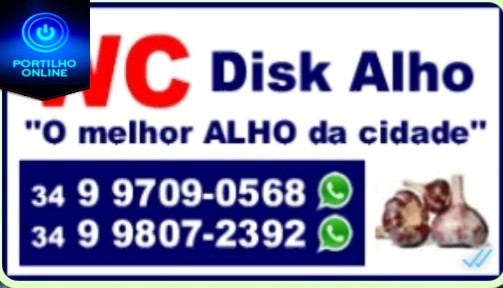 DISK ALHO, ALHOS DESCASCADO E TEMPERO PRONTO.