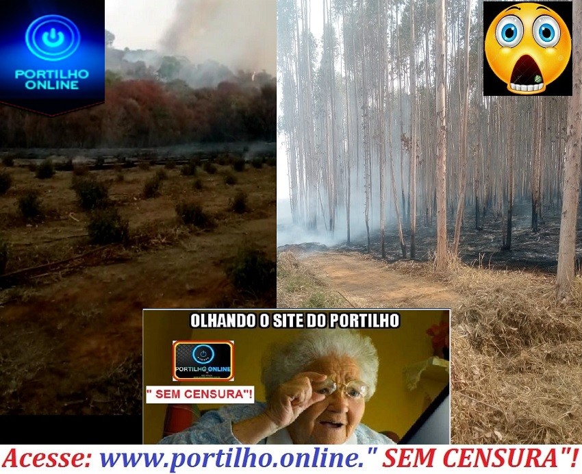 👉😱🚨🚒🌪💨🌥🔥🔥🔥Portilho… A fazenda chamada colinas ‘verde’ está em chamas!!!