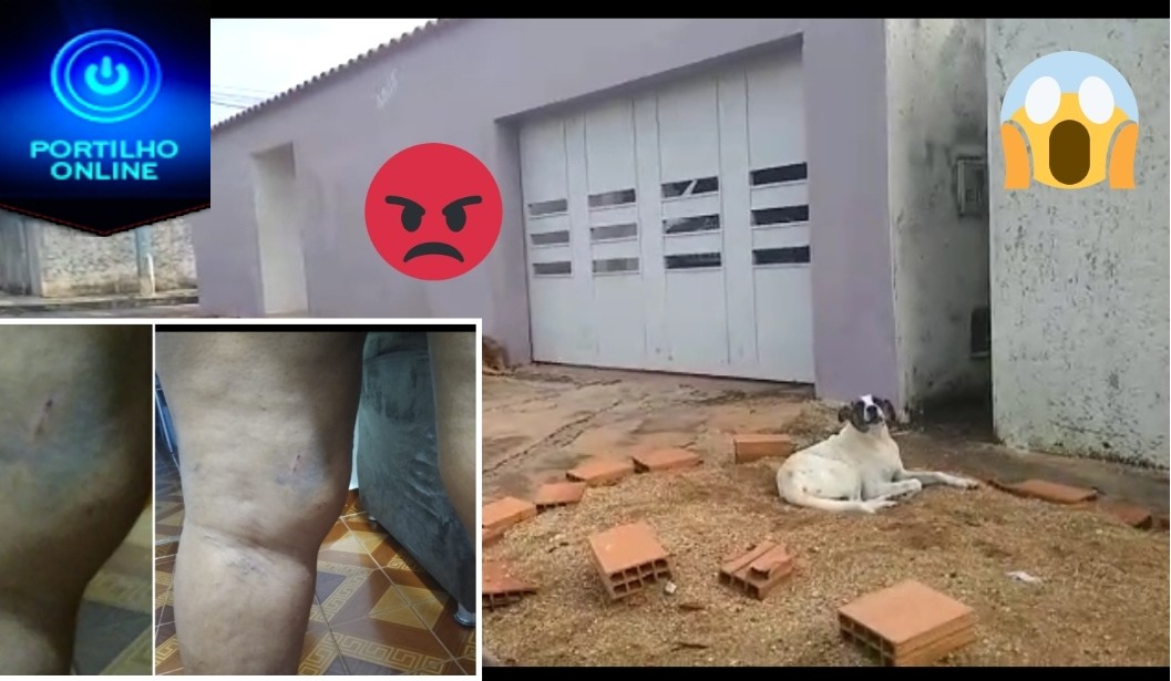 👉😡😱🚔🚨😮🐶🐈🐕OS MESMOS CÃES CONTINUAM ATACANDO, IDOSOS E CRIANÇAS NA ALAMEDA DOS JACARANDÁS