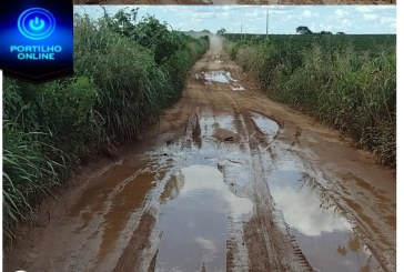 👉🧐✍🤔😡😠🚜🐓Portilho…Esses são alguns dos caldeirões ( vulgo panelão das estradas) que tem em meio a estradas…