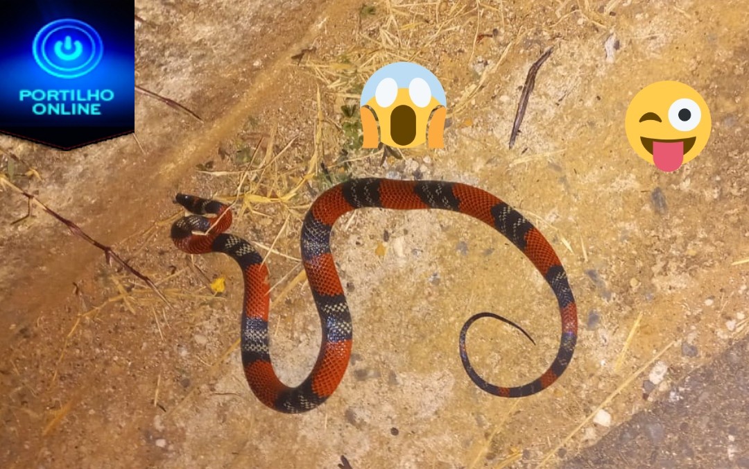 👉😱🙄🐍🐍🐍🐍🦎SOGRA É ENCONTRADA MORTA!!!