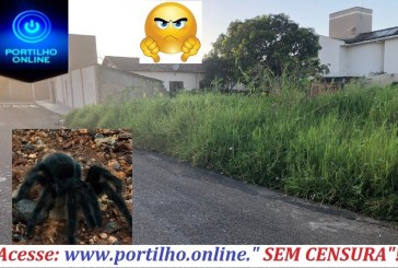 👉😡🙄🧐🕸🕷ARANHAS CABELUDAS E DEPITALADAS🕷🦂🐍😎🦀 INVADEM CAMA DE CASAL!!! Bom dia Portilho…Rua João Pereira de Queiroz localizada no bairro Santa Teresinha