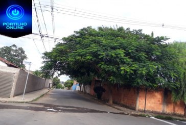 👉👊✍👍🤙👏🌳🌴BAIRRO ENÉAS…Portilho eu queria te pedir pra vc fazer uma reportagem por favor. Não me identifique por favor.