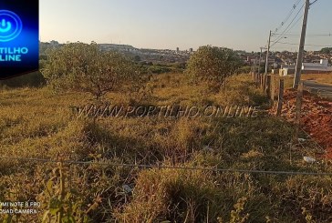 👉🙄🤔😮🌳🌲🌴🍀🌳🌳🌳BAIRRO JARDIM VITÓRIA!!! ÁREA DE APP! MUDAS PLANTADAS MAIS DE 200 MUDAS SECARAM NO MEIO DO MATO POR FALTA DE LIMPEZA E CUIDADO!!!