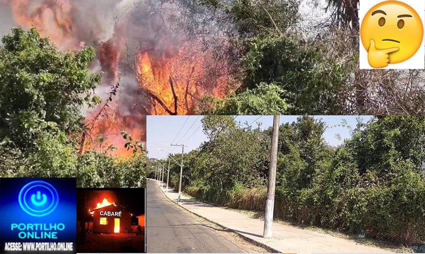 👉HA QUEM INTERESSA ” AS CINZAS DO PARQUE DA MATINHA”???🚒🔥😳💥🚀🚒🔥💨🌪👀📢BOSQUE DA MATINHA AGONIZA HA DÍAS..