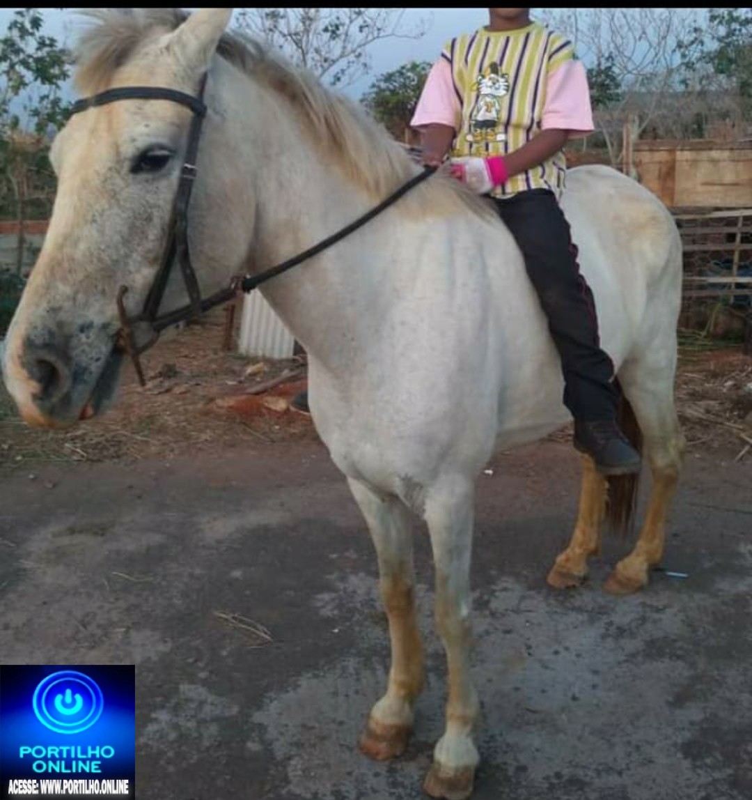 👉🚀😱👀🐎🐴😱ÉGUA BRANCA DESAPARECIDA!!!