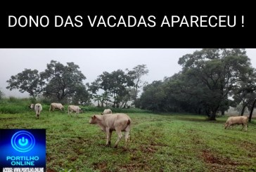 👉🐄🐄🐄🐄👏👍🙌🤝🚀 DONO DAS VACADAS APARECEU???