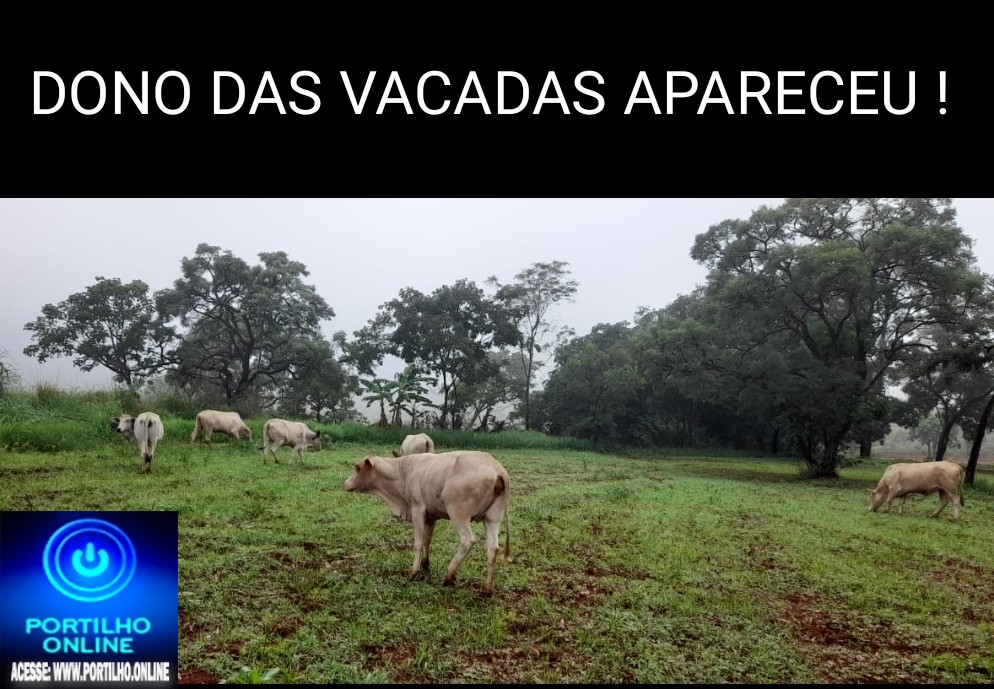 👉🐄🐄🐄🐄👏👍🙌🤝🚀 DONO DAS VACADAS APARECEU???