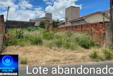 Boa tarde Portilho, não quero ser identificado, só vc pode me ajudar…🕷🦗🐍🦂🕸🦀🦎🐿🐀MORADORES DO BAIRRO OLÍMPIO NUNES RECLAMAM DI DEPÓSITO DE ANIMAIS PEÇONHENTOS.