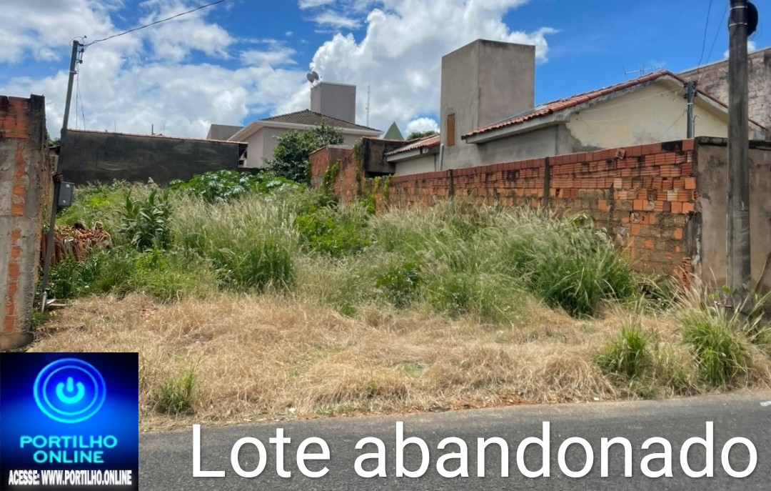 Boa tarde Portilho, não quero ser identificado, só vc pode me ajudar…🕷🦗🐍🦂🕸🦀🦎🐿🐀MORADORES DO BAIRRO OLÍMPIO NUNES RECLAMAM DI DEPÓSITO DE ANIMAIS PEÇONHENTOS.