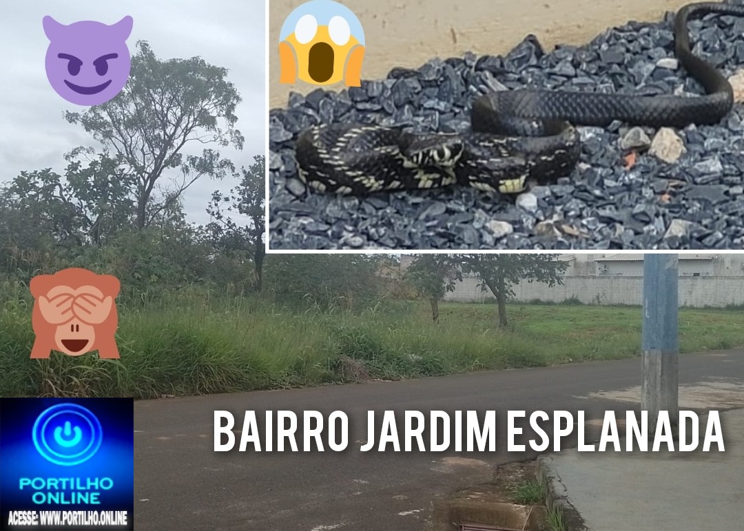 🦌🦒🦓🐴🕷🐍🦂🕸🕷👎😡😠🙏🚀👍💥MORADORES BAIRRO JARDIM ESPLANADA!!! Portilho  o Trem tá feio aqui no Jardim Esplanada