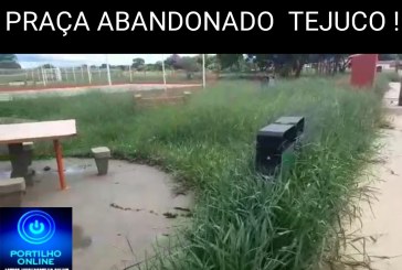 Portilho … Ótimo título  PRACINHA DO TEJUCO OU NOVA RESERVA AMBIENTAL DO TEJUCO 🥅🛝🤔🐍🐗🦂🤔🤔🤔🤔