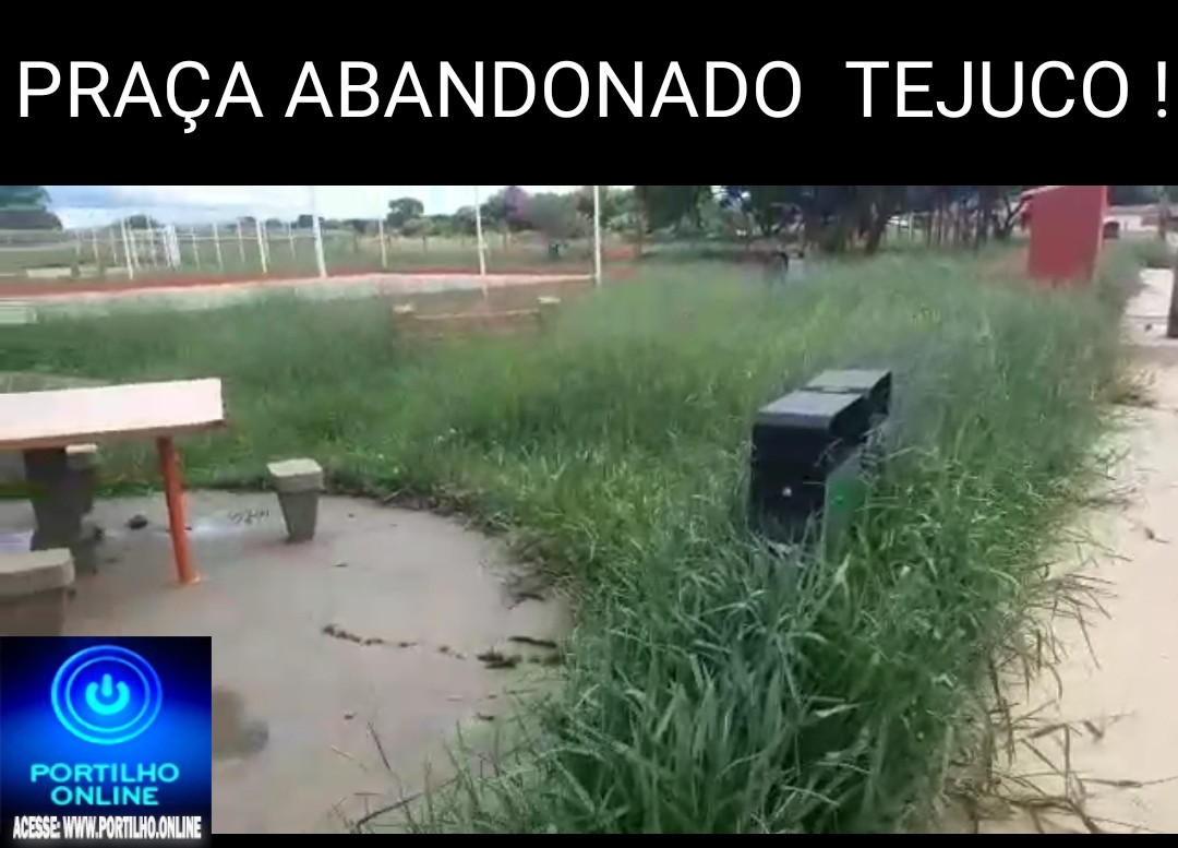 Portilho … Ótimo título  PRACINHA DO TEJUCO OU NOVA RESERVA AMBIENTAL DO TEJUCO 🥅🛝🤔🐍🐗🦂🤔🤔🤔🤔