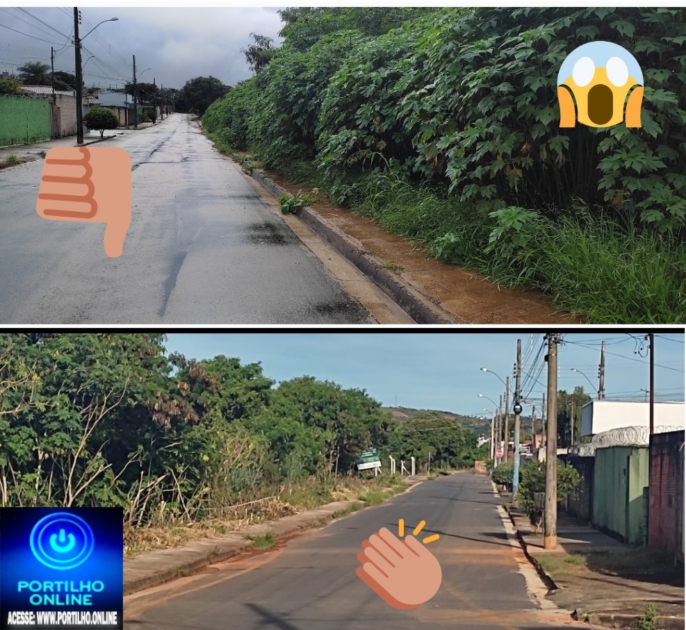 👉🤔🙄🔍👏✍🚜🤙🙌ALAMEDA DOS EUCALIPTO!!! O MATAGAL CONTINUA. PORÉM FOI LIMPADO PARCIALMENTE.