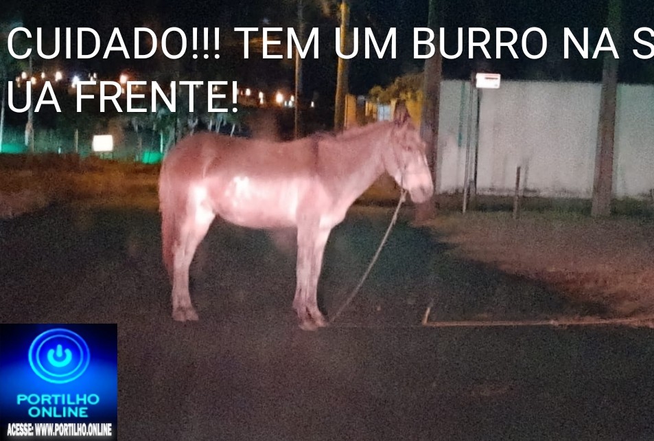 👉👎✍👎🕵🔎🚨⚖🐎🐴🐎🐴📢VERGONHA!!!Portilho,  Aqui no bairro Cruzeiro da Serra tem esse burro aí solto…