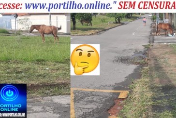 👉👎😡🙄😱🐃🐄🐂🐑🐎🐏🐴🦓Olá Boa Tarde. Portilho gostaria de fazer uma denúnciaENQUANTO O PREFEITO DEIRÓ ESTÁ DE FÉRIAS MERECIDAS, OS SECRETÁRIOS TAMBÉM ESTÃO???   