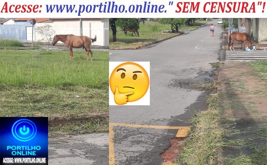 👉👎😡🙄😱🐃🐄🐂🐑🐎🐏🐴🦓Olá Boa Tarde. Portilho gostaria de fazer uma denúnciaENQUANTO O PREFEITO DEIRÓ ESTÁ DE FÉRIAS MERECIDAS, OS SECRETÁRIOS TAMBÉM ESTÃO???   