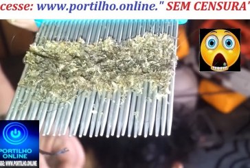 👉🧐😱🤔😱😮🐜🐜🐜🐜Mãe leva filho pra corta o cabelo, e cabeleireira se desespera com o que morava na cabeça da criança, veja o vídeo