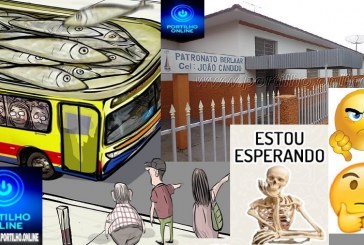 👉🧐😡😠😱😱🔎👀🚨🚎🚌🚍🚍🚍CADÊ O ÔNIBUS PARA LEVAR OS ALUNOS???? Bom dia Portilho! Nossas filhas estudam no Patronato Berllar e por falta de lugares no micro ônibus…