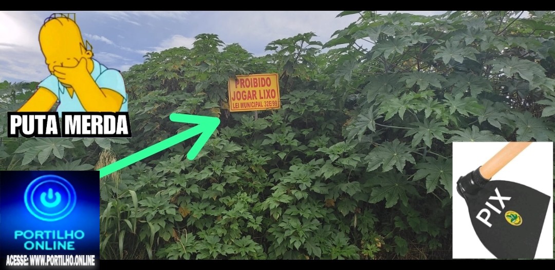 🙄❌🤔😠👎🔛🚀🕵️‍♀️🔎👉NA PLACA ESTÁ ESCRITO ASSIM… Proibido jogar lixo, mas a mesma placa pôde ficar no meio do matagal?