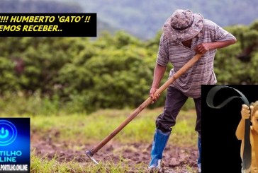 👉🧐⚖💶💰💰💶😳😮✍🙄🤔📢⚖ MIAU!!!! HUMBERTO ‘GATO’ VEACO!!! Boa tarde Portilho quero fazer uma denúncia anônima..