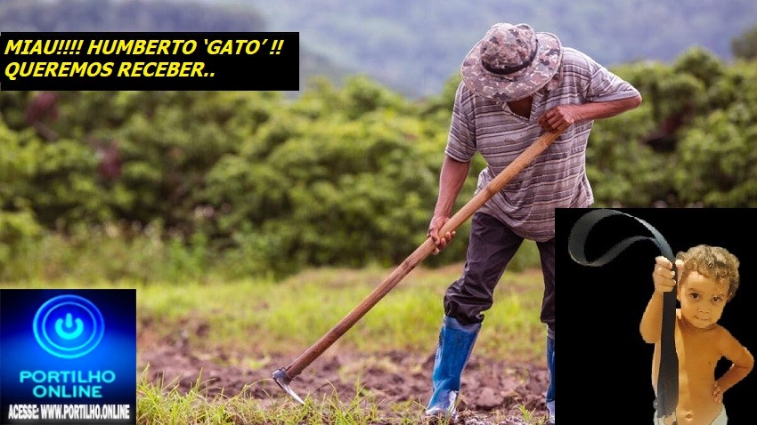 👉🧐⚖💶💰💰💶😳😮✍🙄🤔📢⚖ MIAU!!!! HUMBERTO ‘GATO’ VEACO!!! Boa tarde Portilho quero fazer uma denúncia anônima..