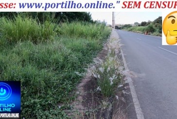 👉📢👀🤔🤔😡😡🙄😮😮🧐“Portilho, Avenida Jorge Elias em Total abandono. Olha o tamanho do mato nós lotes”.