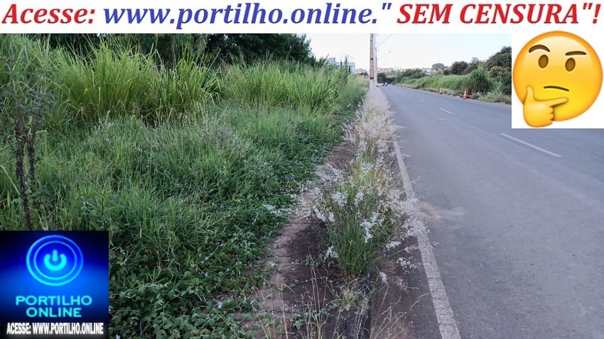 👉📢👀🤔🤔😡😡🙄😮😮🧐“Portilho, Avenida Jorge Elias em Total abandono. Olha o tamanho do mato nós lotes”.