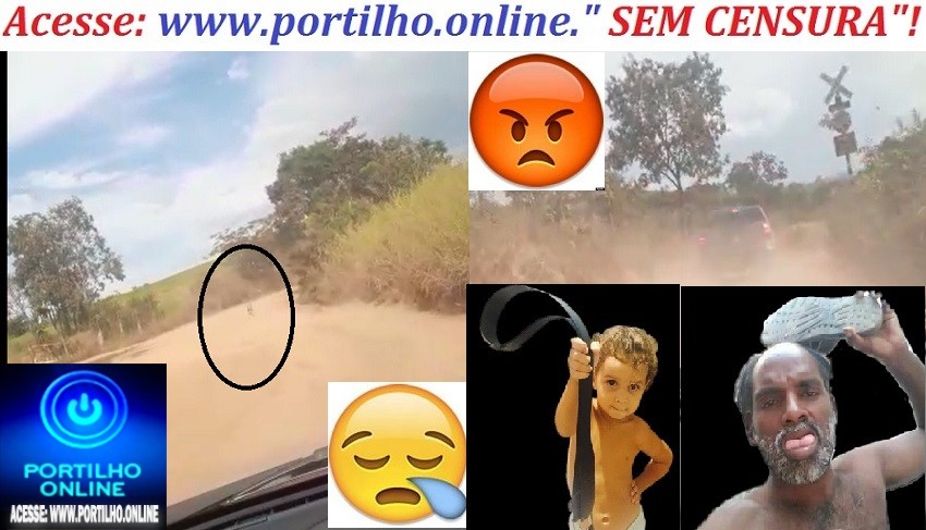  👉🔎📢🚓🚔🤬😡🚨👀✍😱😪DONO DE UMA ” AMAROX-CONA, ABANDONA CÃO 🐕‍🦺 NAS CAÇAMBA DA POUSADA DO ZÉ MARTINS!!!