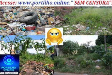 👉📢🧐✍👎😡😠👊👀👎 Portilho mais uma vez essa cidade tem provado que é uma cidade para os ricos viverem bem. Absurdo o que os vereadores estão fazendo.