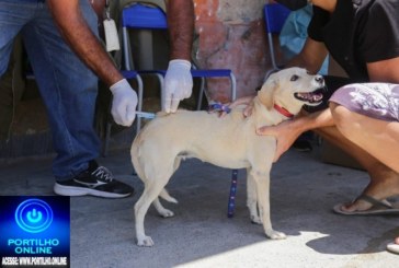 👉👉👉👍👏👏👏💉💉💉 Vacinação antirrábica de cães e gatos da área urbana inicia em setembro