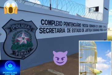 👉👀📢🚓⚖🕵️‍♀️🚔🐤🐤🐦🐣PASSARINHO FOGE DA GAIOLA…Carmo do Paranaíba – Detento foge de penitenciária durante banho de sol