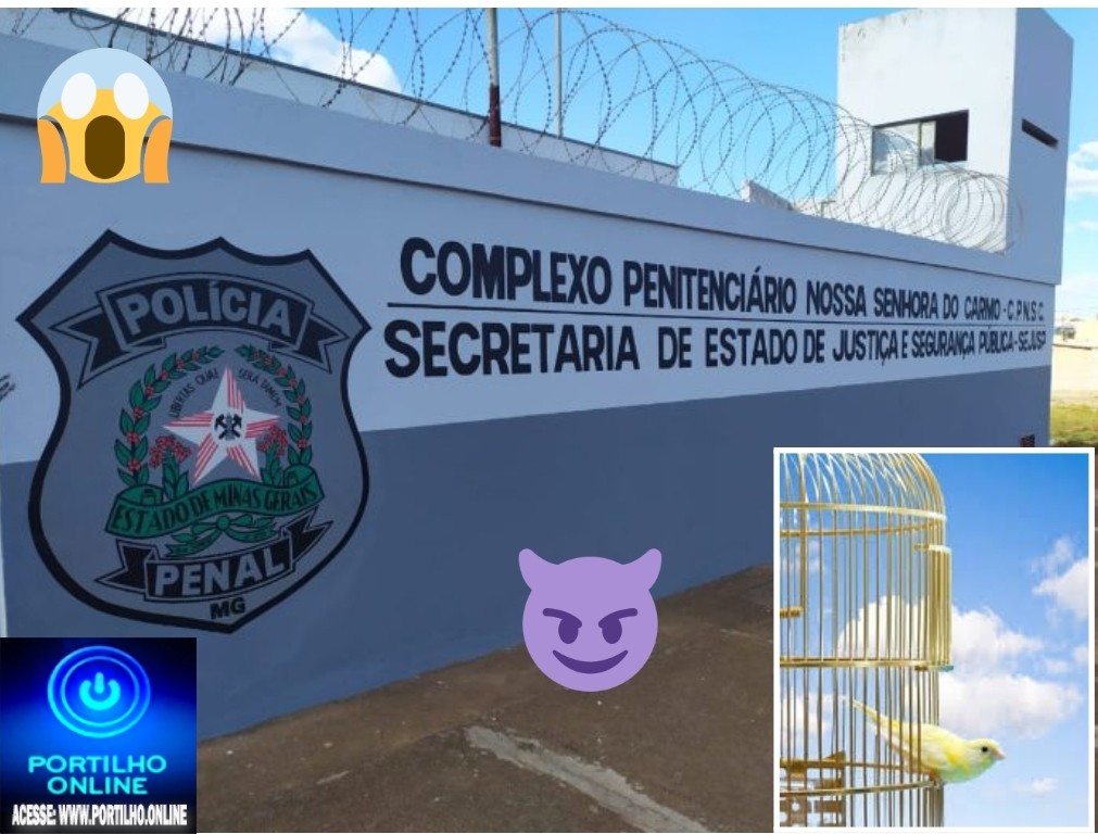 👉👀📢🚓⚖🕵️‍♀️🚔🐤🐤🐦🐣PASSARINHO FOGE DA GAIOLA…Carmo do Paranaíba – Detento foge de penitenciária durante banho de sol