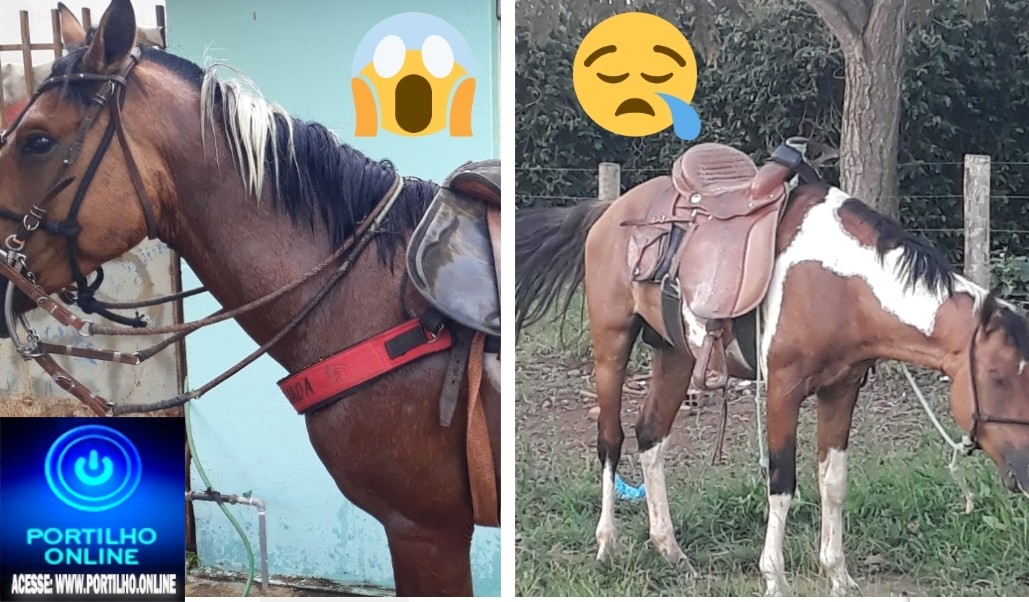 👉📢🚨👀🕵️‍♀️🧐🐎🐎🐴FOI ROUBADO!!!O “cavalo ventania foi roubado ou está por aí em alguma fazenda sendo usado” informações… com Raimunda 34 9813-4087.
