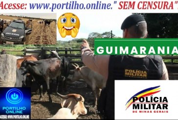 👉📢😈👺🕵🔎🚨🚔🚓🚑🚒⚰🕯👺GUIMARÂNIA!!! Portilho… Solicitamos a presença da Polícia de Goiás com urgência para conter a atuação de ladrões de gado