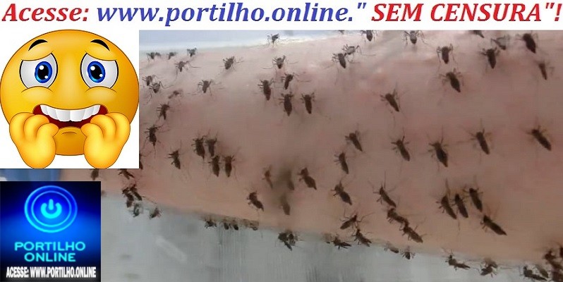 👉👀🤔❓🙄💉🔬🔭💉DENGUE AVASSALADORA EM PATROCÍNIO: “Portilho várias pessoas com dengue e o atendimento péssimo…
